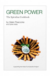 green-power-cover-front