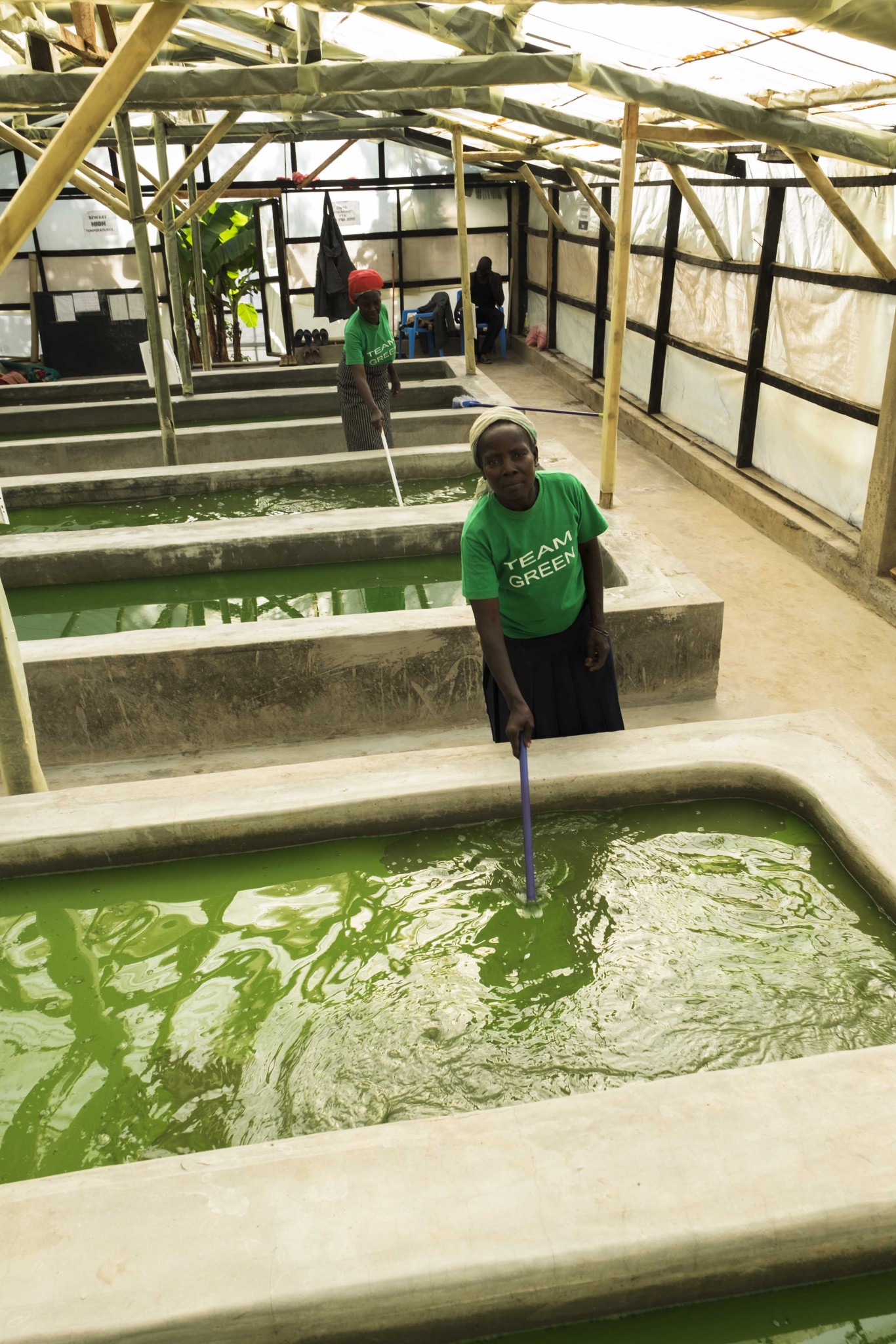 Spirulina Production Farm The Nasio Trust Changing Lives For Good